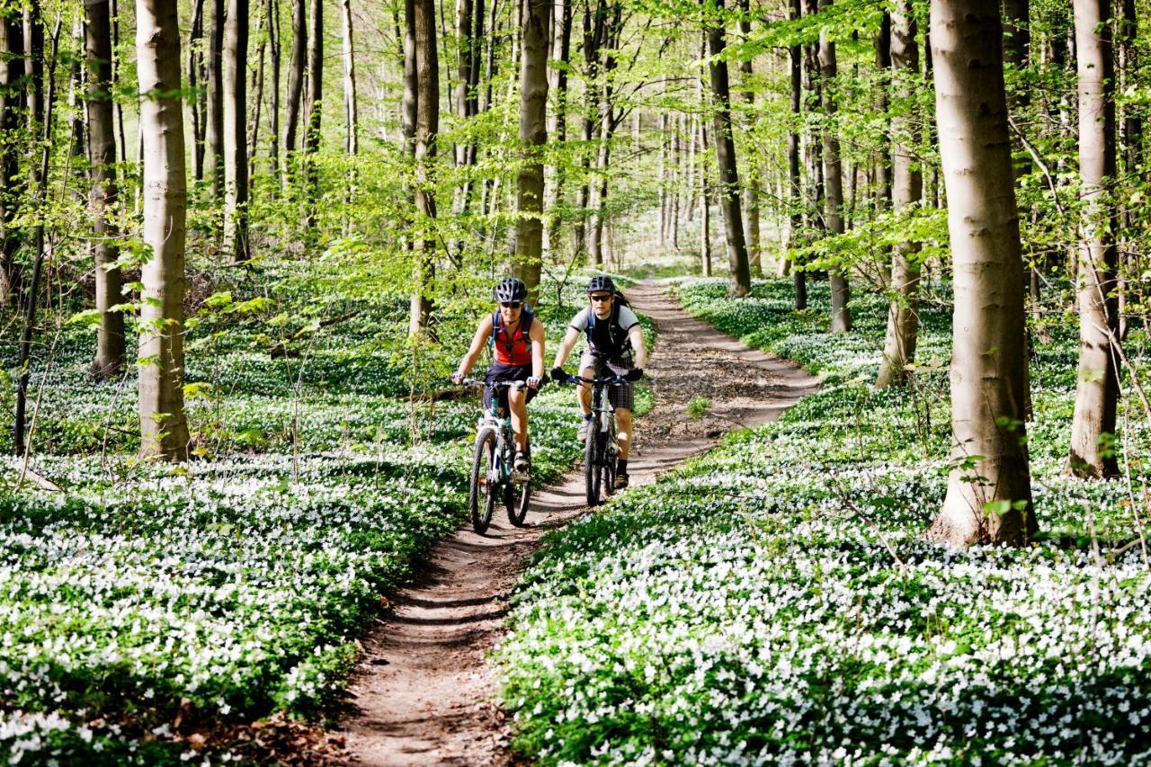 Vakantiehuis in een prachtige bosrijke omgeving in Twente! Bornerbroek Buitenkant foto