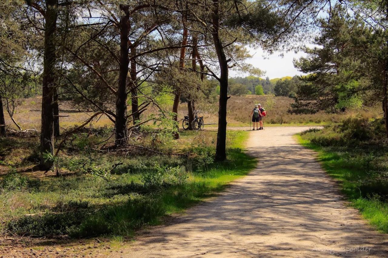 Vakantiehuis in een prachtige bosrijke omgeving in Twente! Bornerbroek Buitenkant foto